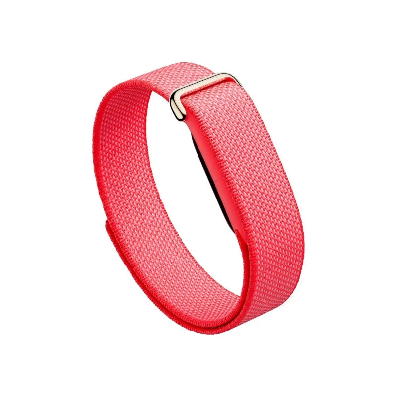 Google Fitbit Air