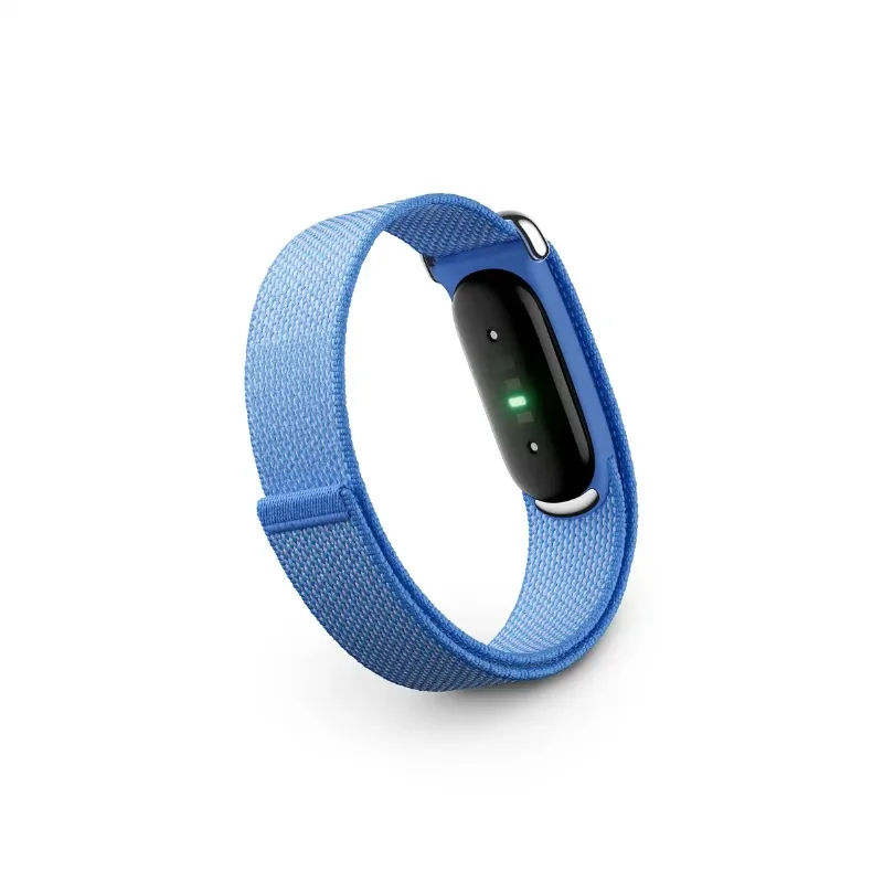 Google Fitbit Air a