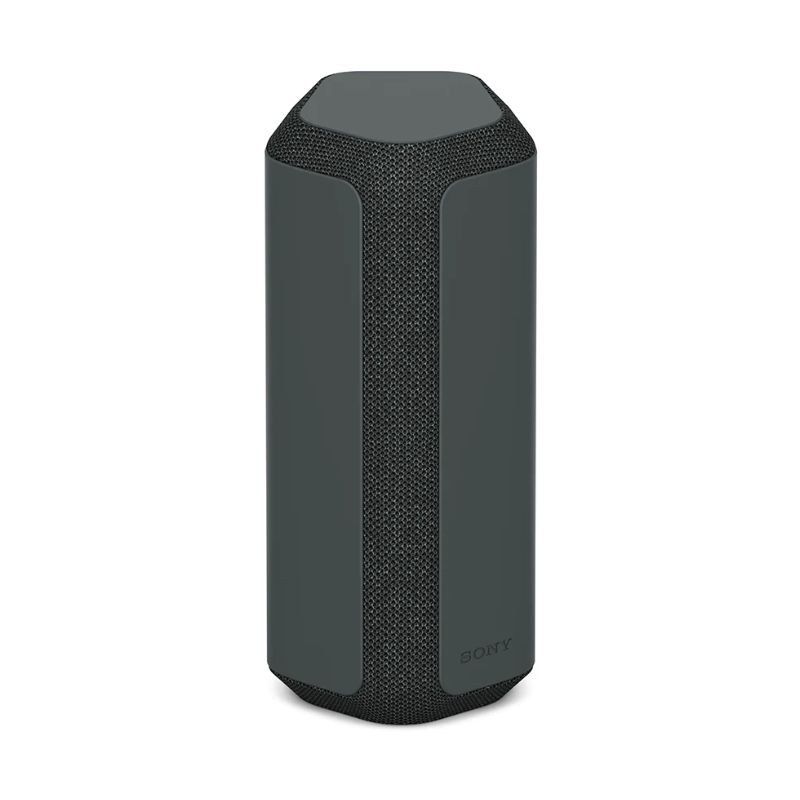 Sony SRS-XE300 image