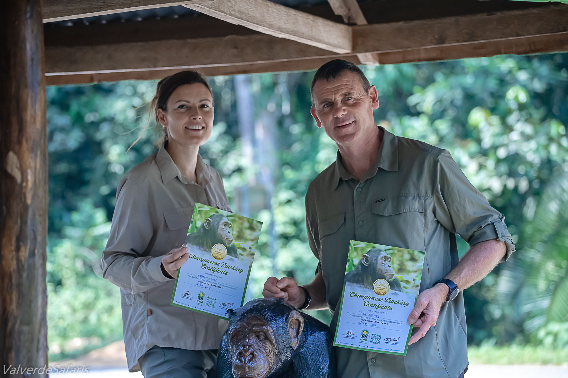 Best Country for Chimpanzee Trekking Tours: Why Uganda is the Ultimate Primate Haven