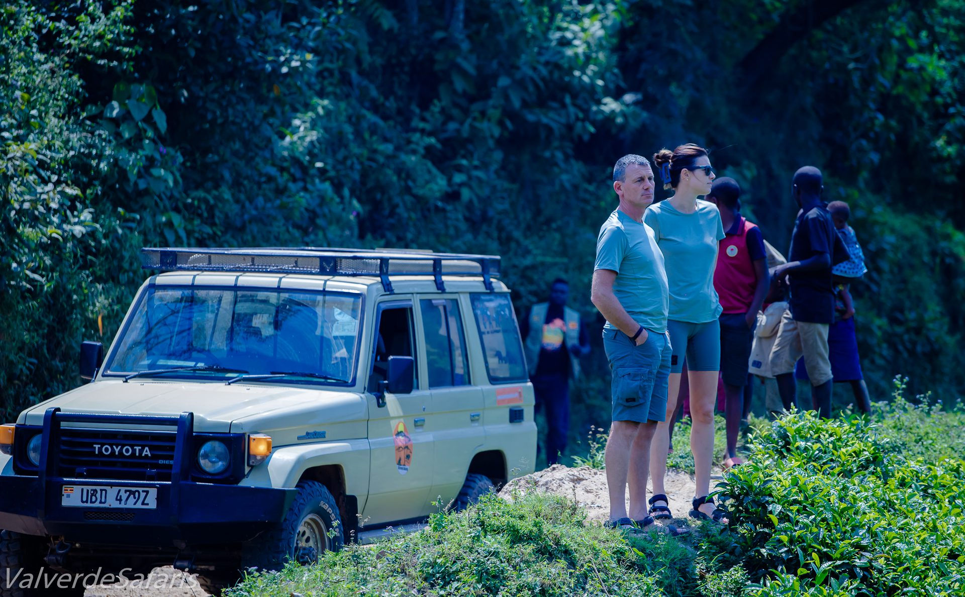 Affordable Uganda Safari Packages for US Travelers: The Ultimate Value Guide