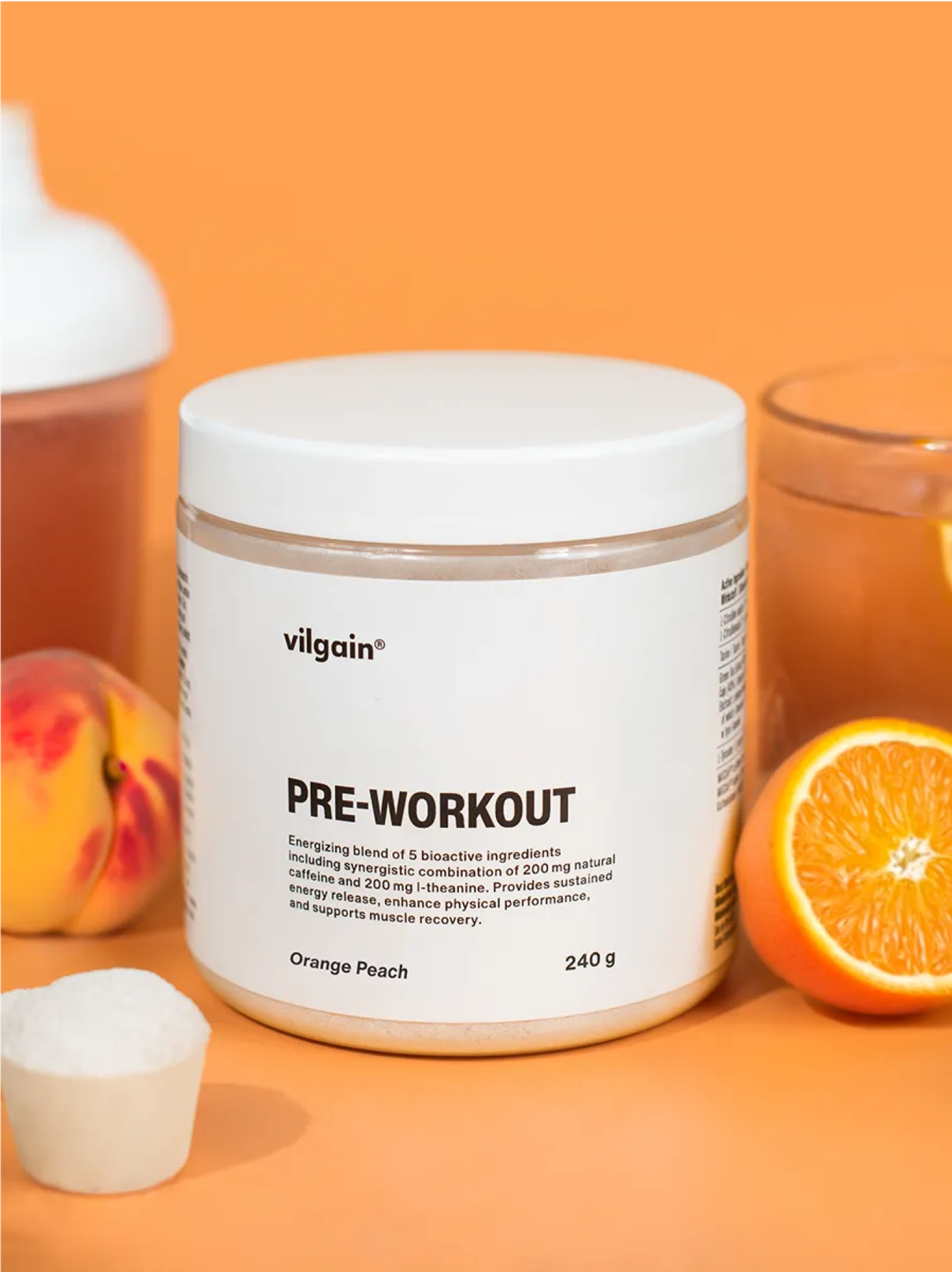 Vilgain Pre-Workout — Detail