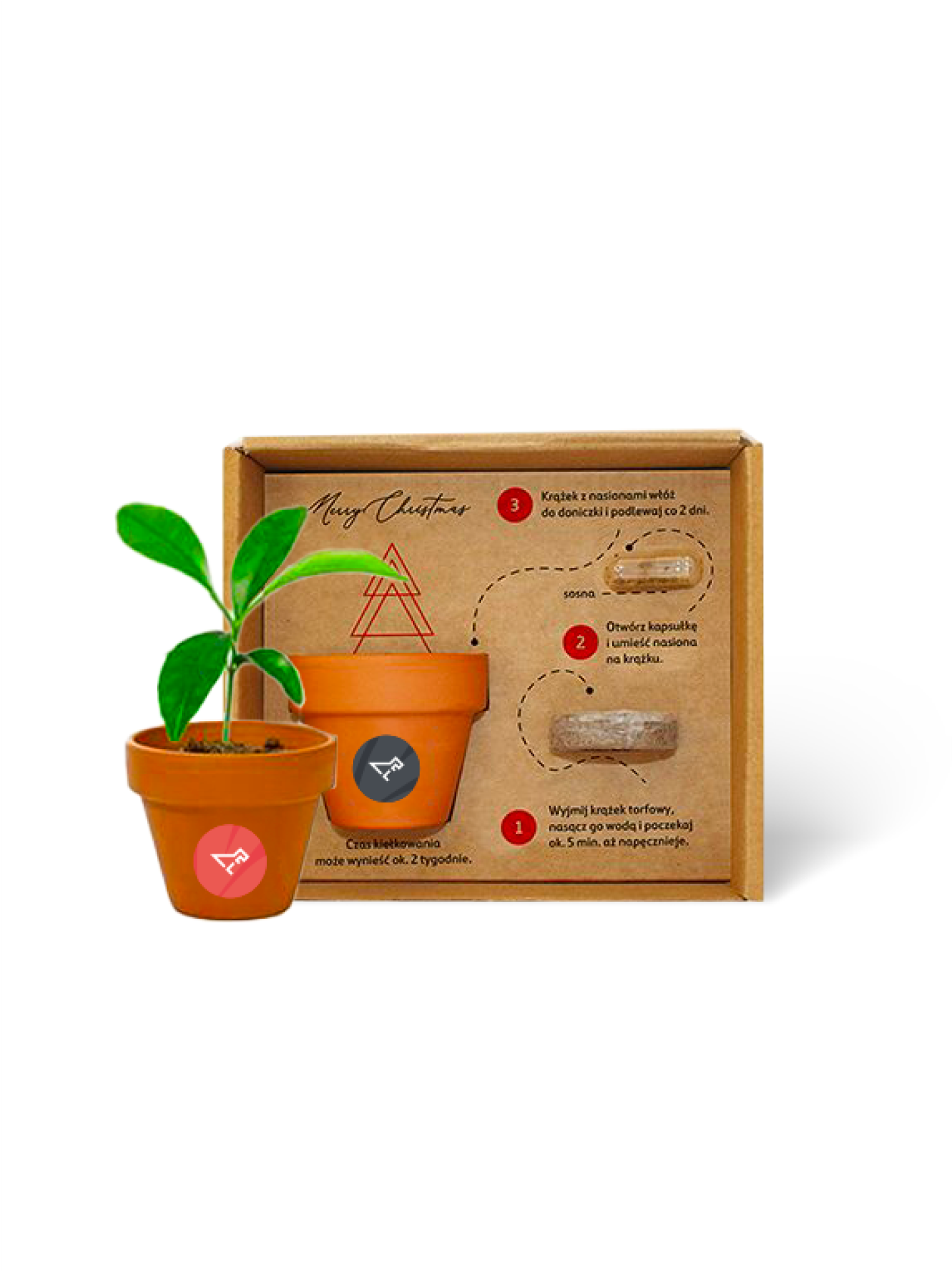 Sada pro vypěstování rostlinky