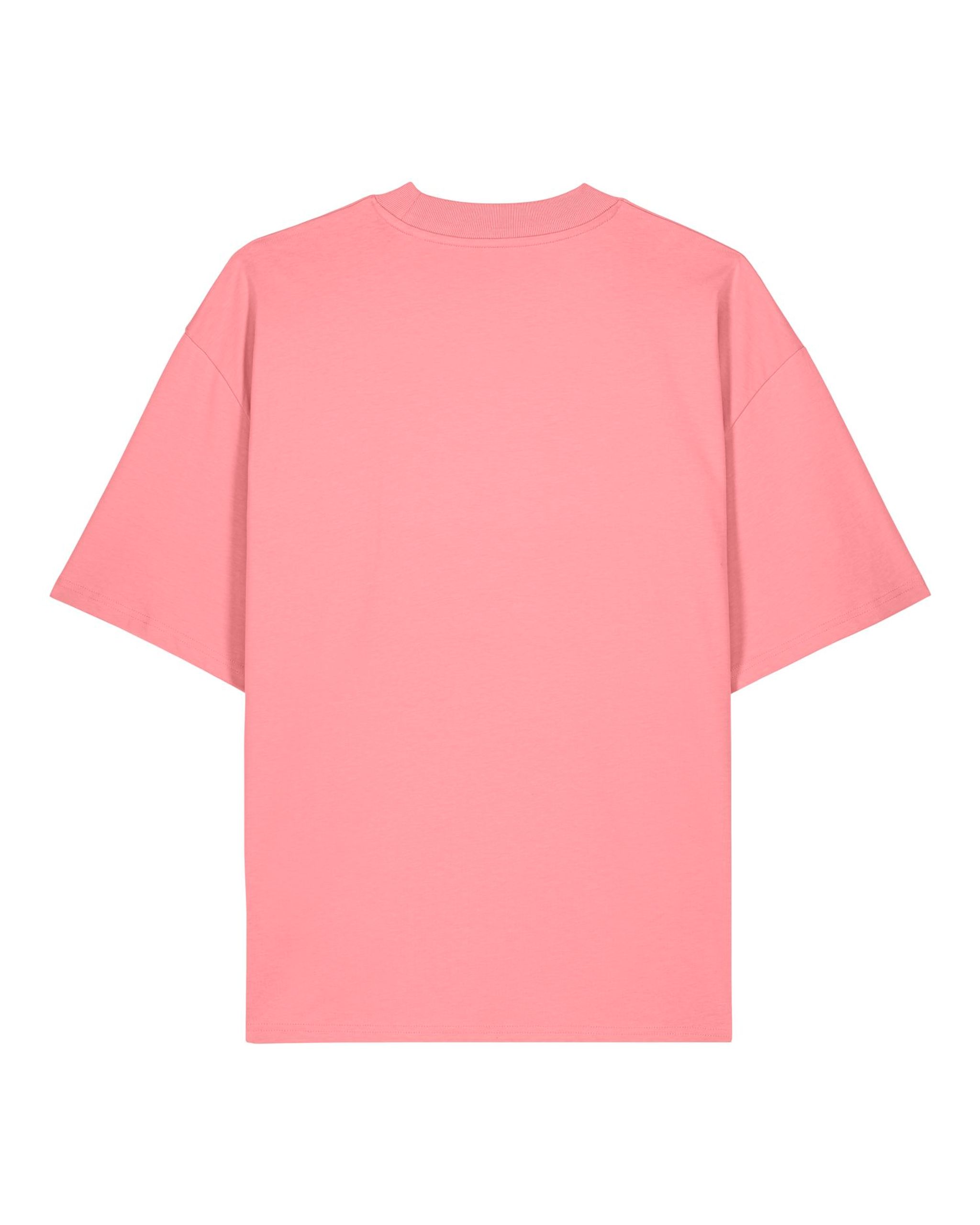 Stanley/Stella oversized tričko — Záda