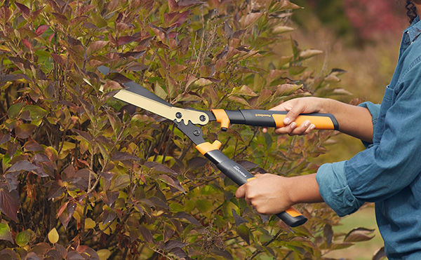 What Tools Do I Need for Garden Maintenance: Essential Gear Guide