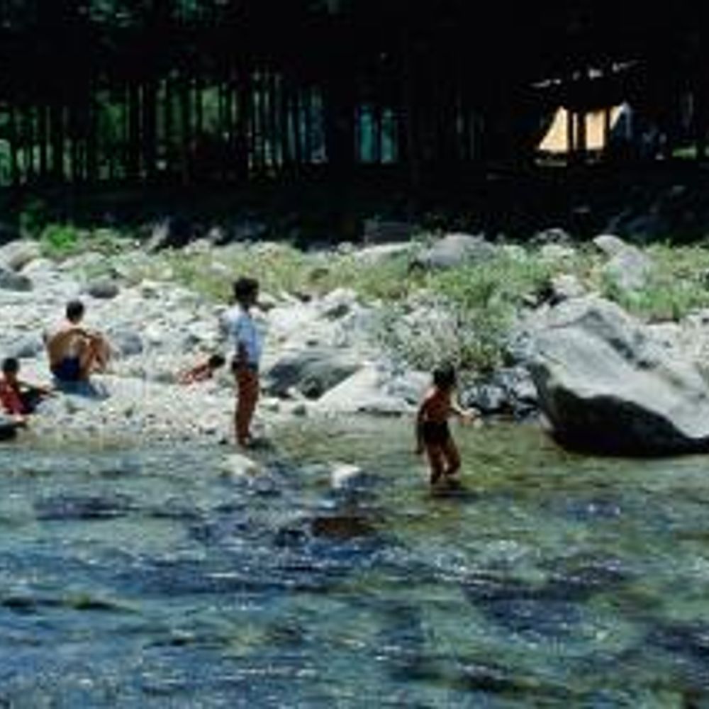 飛騨金山の森キャンプ場:0