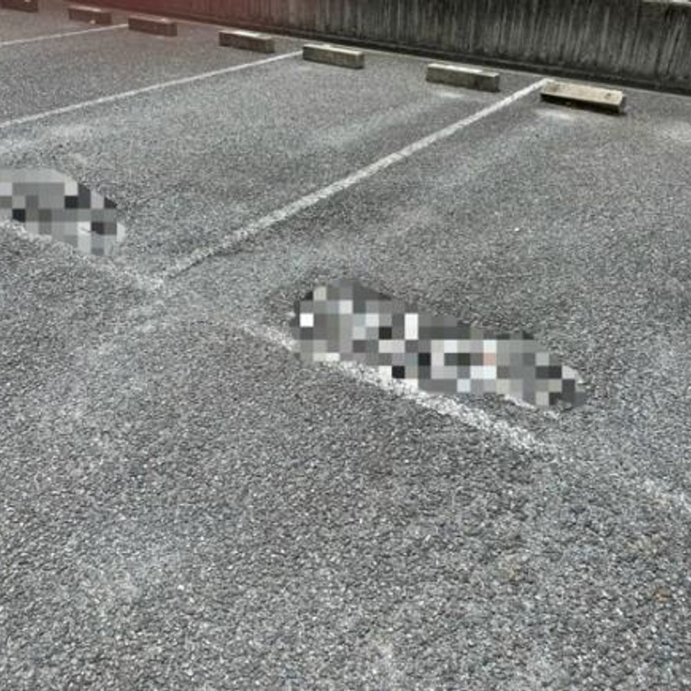 本地荘駐車場:3