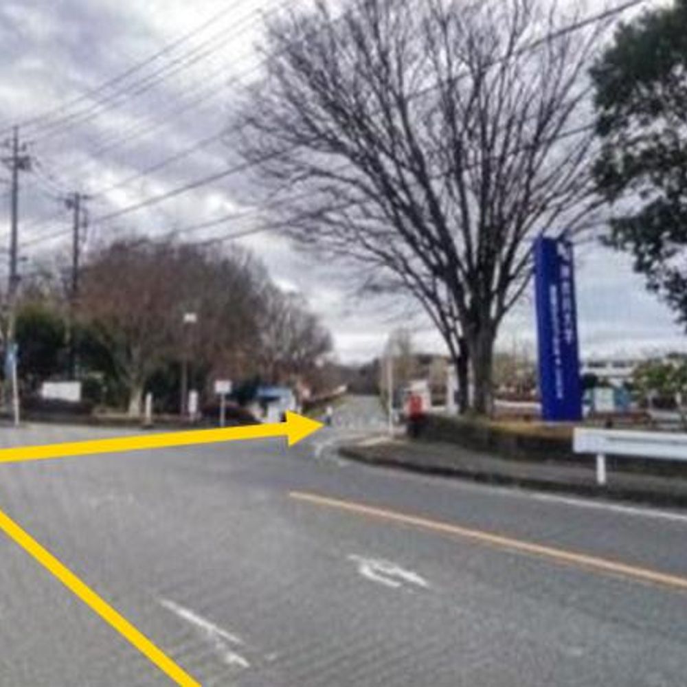 神奈川大学SHC駐車場:2