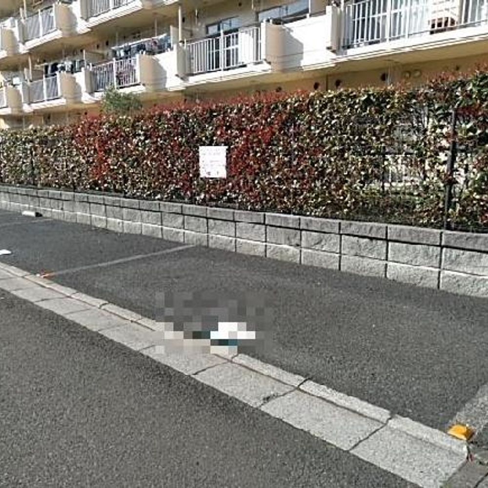 さがみ野さくら駐車場:1
