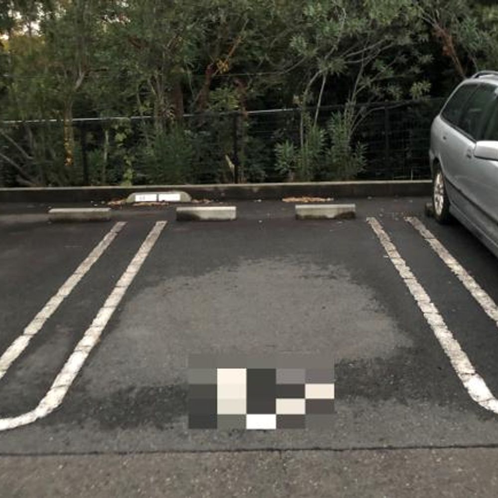 多摩ニュータウン豊ヶ丘駐車場:1