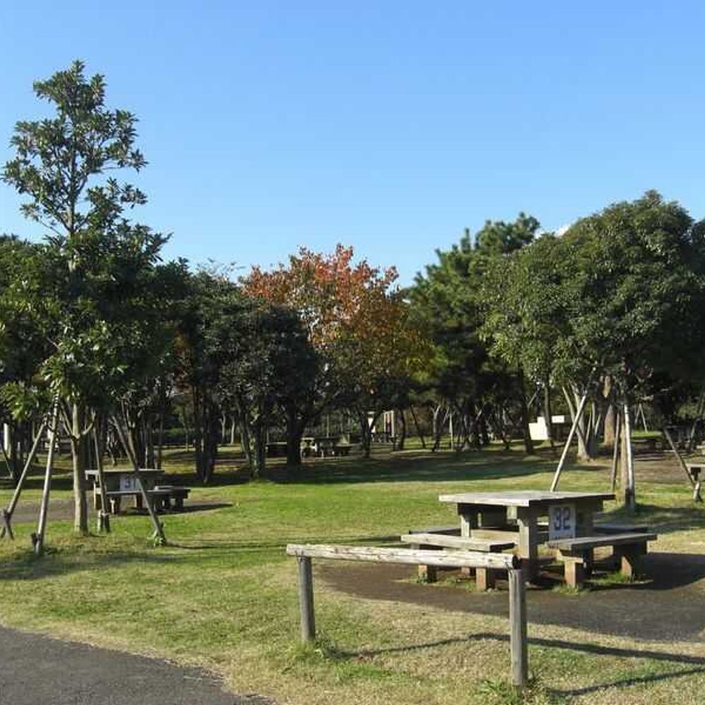 城南島海浜公園 キャンプ場:0
