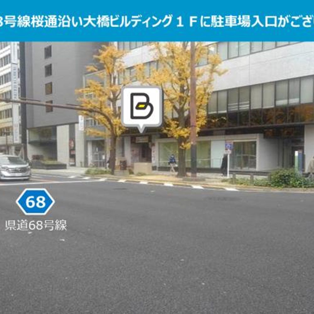 ＮＰＤ大橋ビルディング駐車場:1
