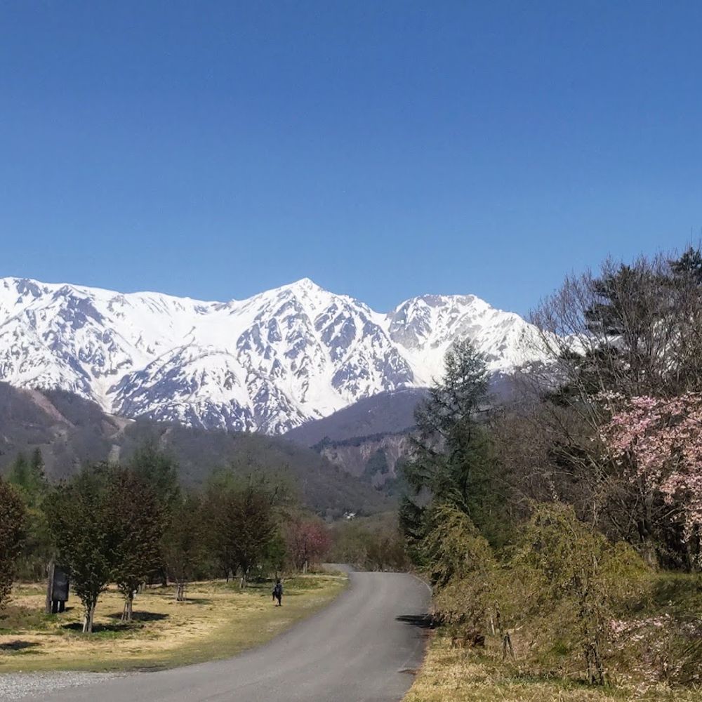 松川 河川 公園