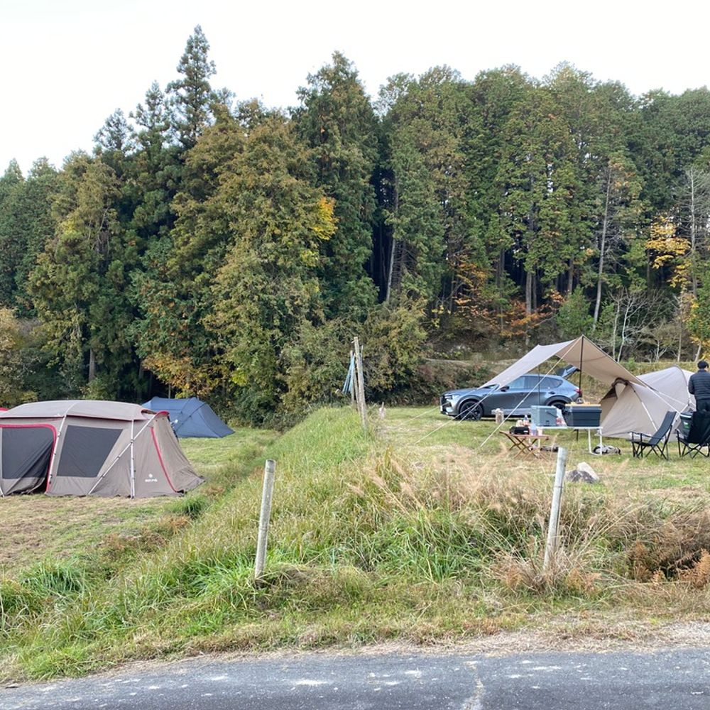 RVパーク たそがれテラスの森と風:0