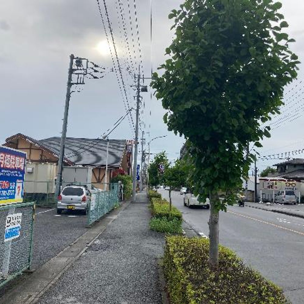 清水駐車場:4