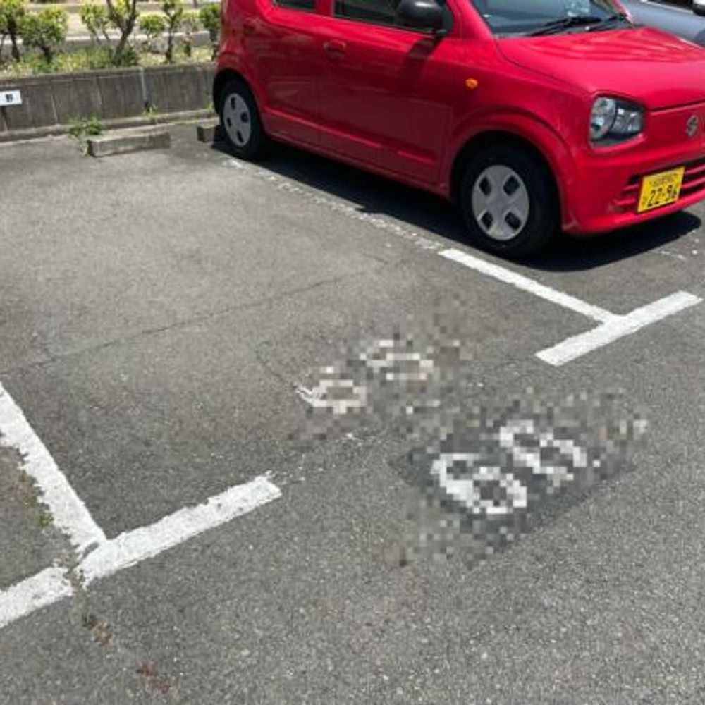 【2棟近く】新泰明荘駐車場:3