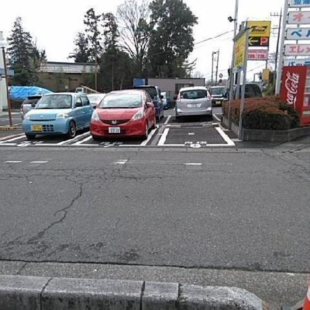 タイムズ岩槻南平野駐車場:3