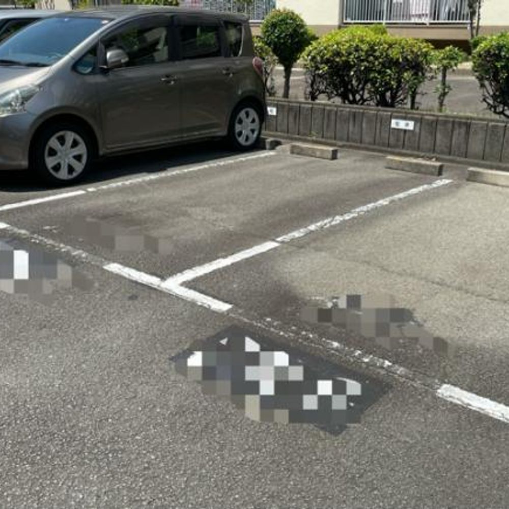 【7棟近く】新泰明荘駐車場:3