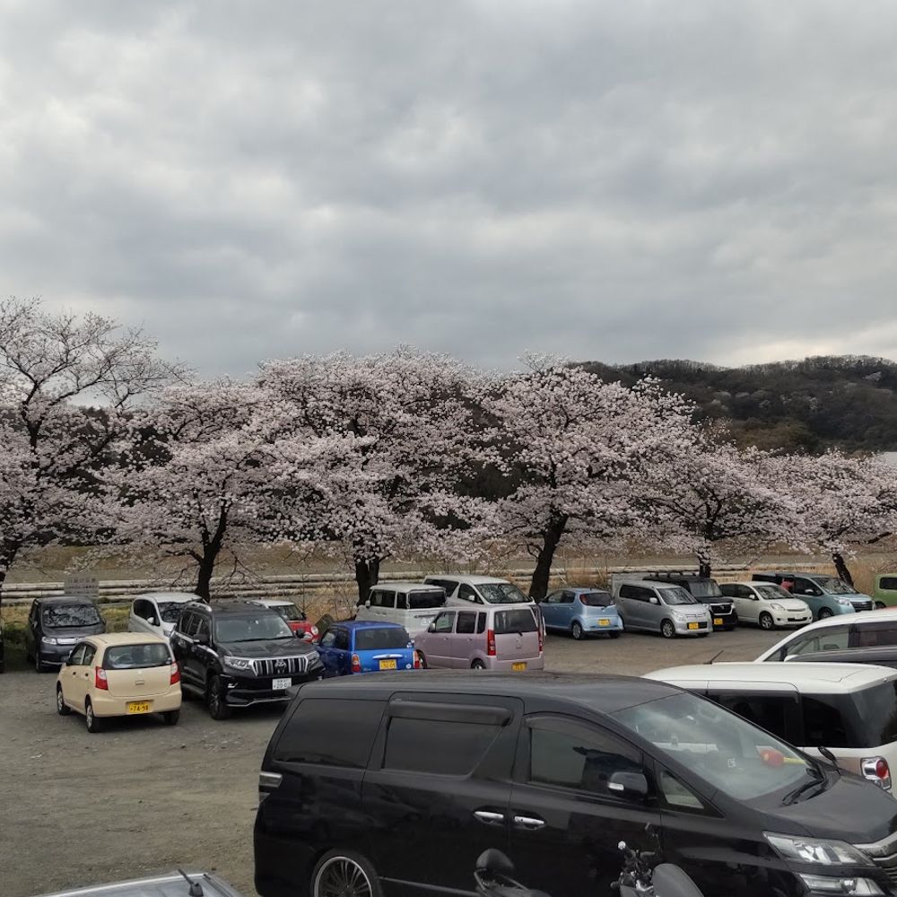 愛川町坂本多目的広場 駐車場:0