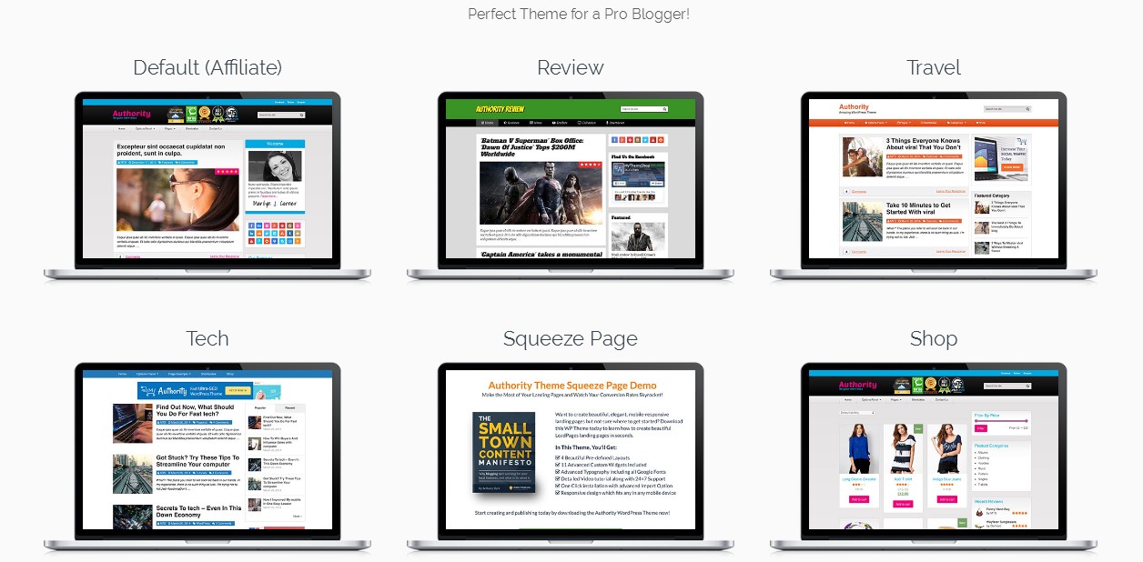 demo layouts authority wordpress theme