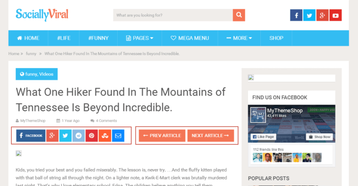 sociallyviral is the best seo ready wordpress theme