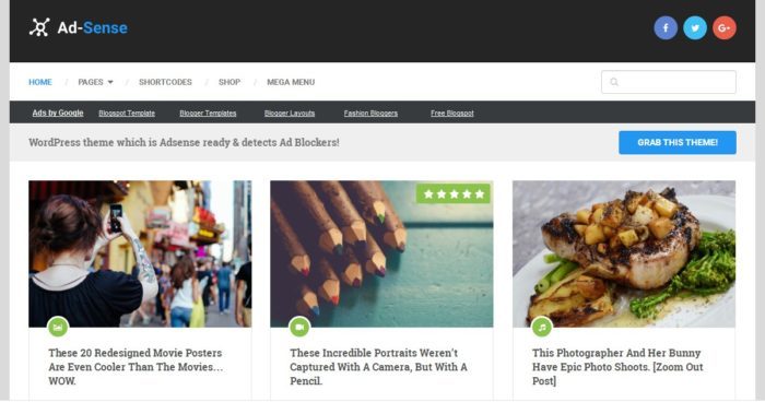 adsense wordpress theme preview