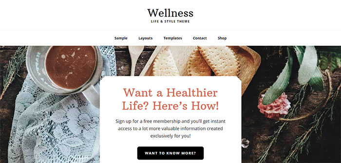 Wellness Pro Genesis Child Theme