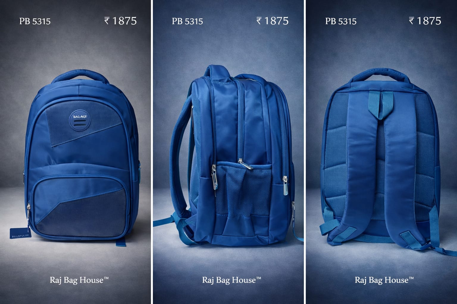Baggage 5315 Skyblue Laptop Bag – Sky Blue