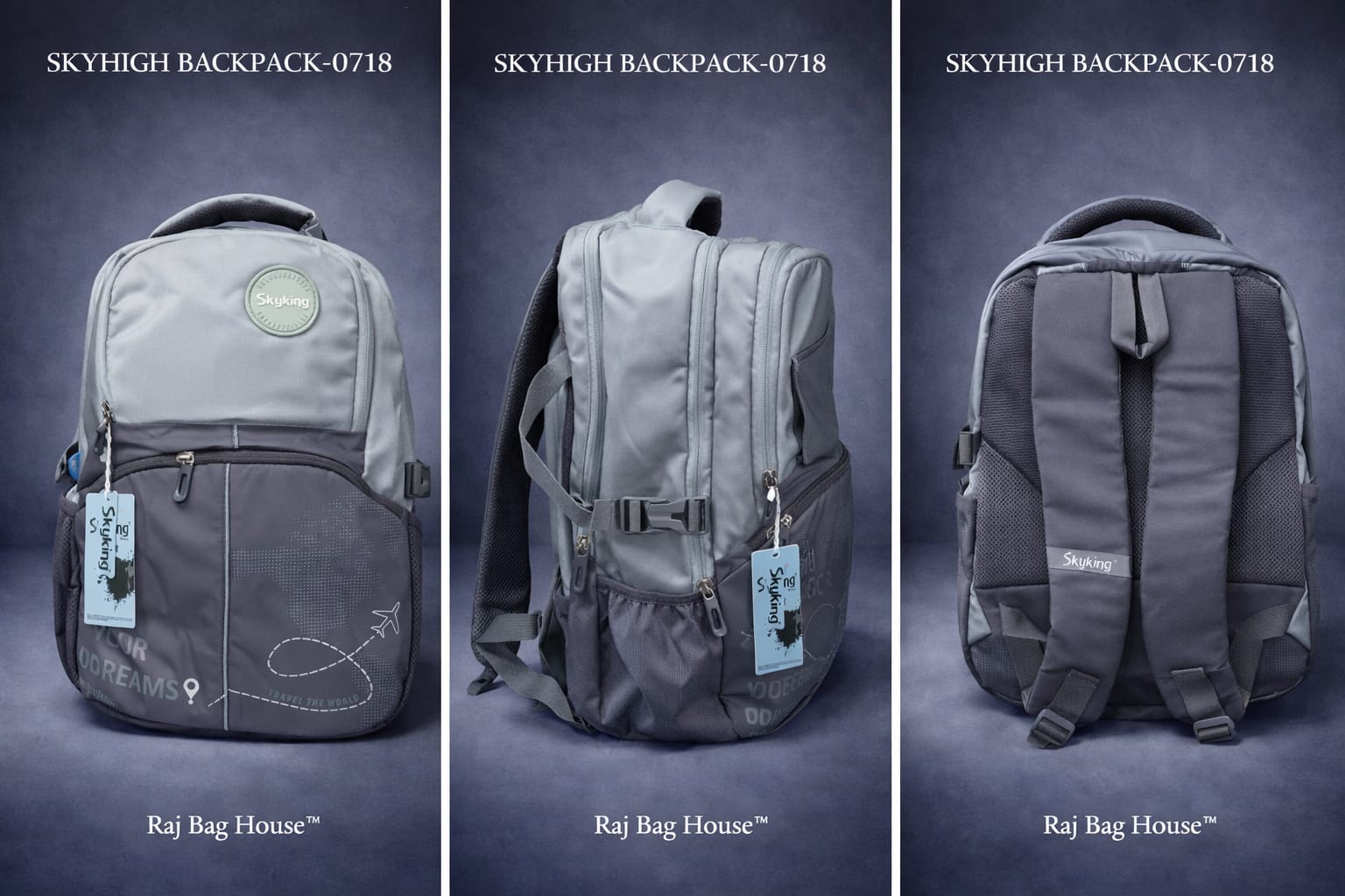 Skyhigh School Backpack 0718 - Pista / Grey