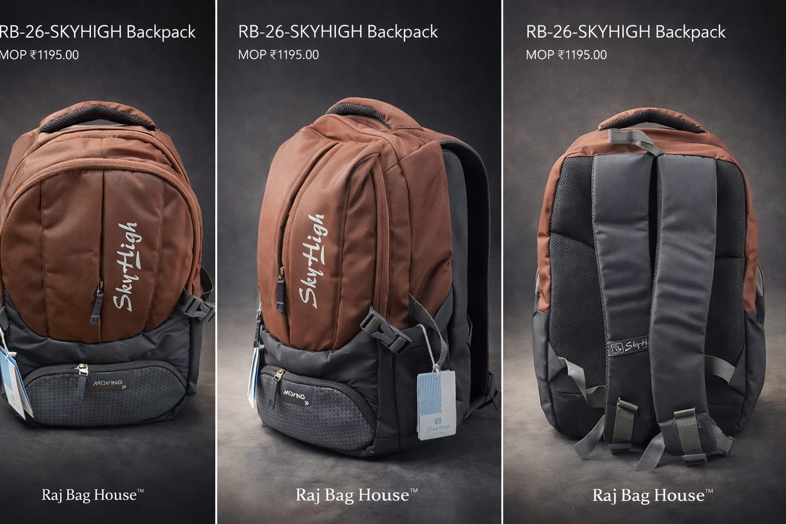 Skyhigh College Backpack 0592