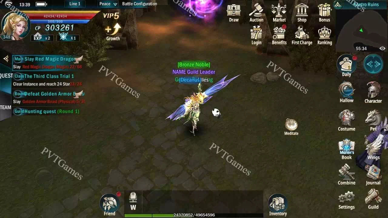 Download New Loong Craft Private Server — PrivateGames.Link