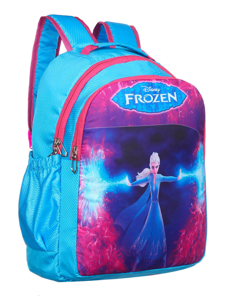 Blue Frozen-themed backpack with design
