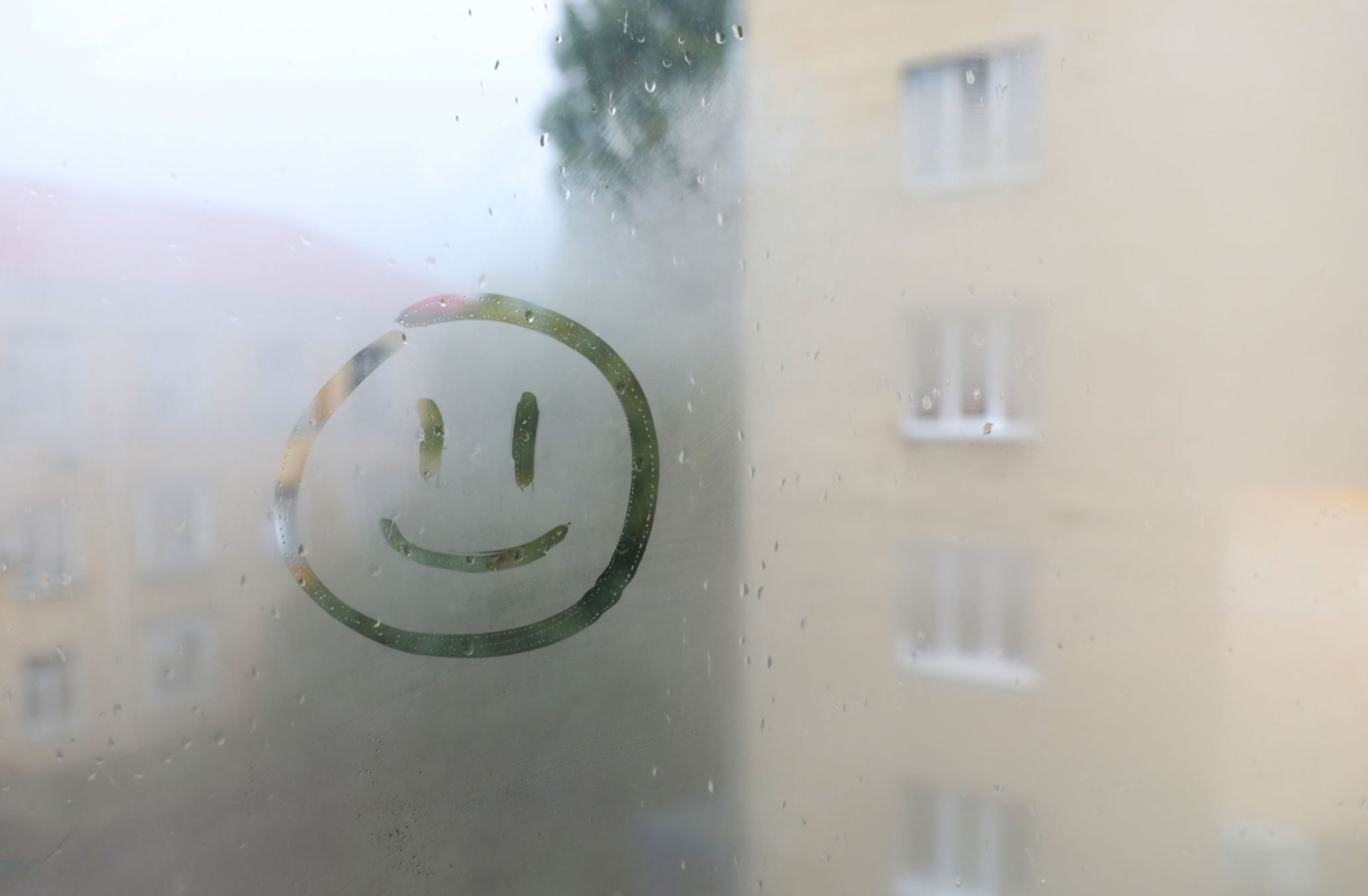 Logu Svīšana: No Rasas Lāses līdz Skaidram Skatam!