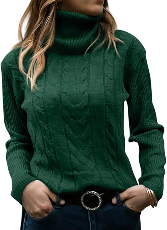 Langwyqu Turtleneck Sweater