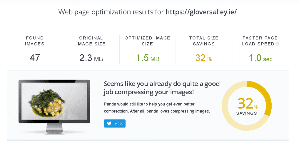 screenshot from TyniPNG about web optimisation results for Gloversalley.ie