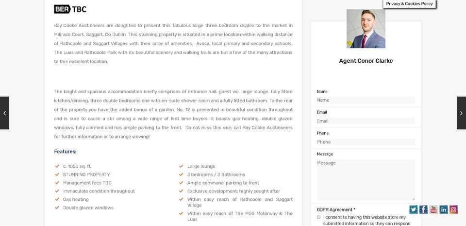 Real Estate Website Design (Amazing Project!) 5