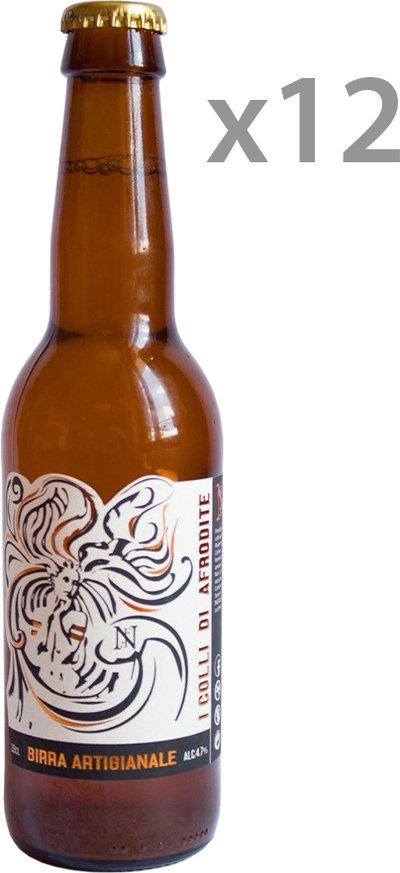Birre bionde 12 bottiglie - Birra Artigianale Pilsner 33 cl