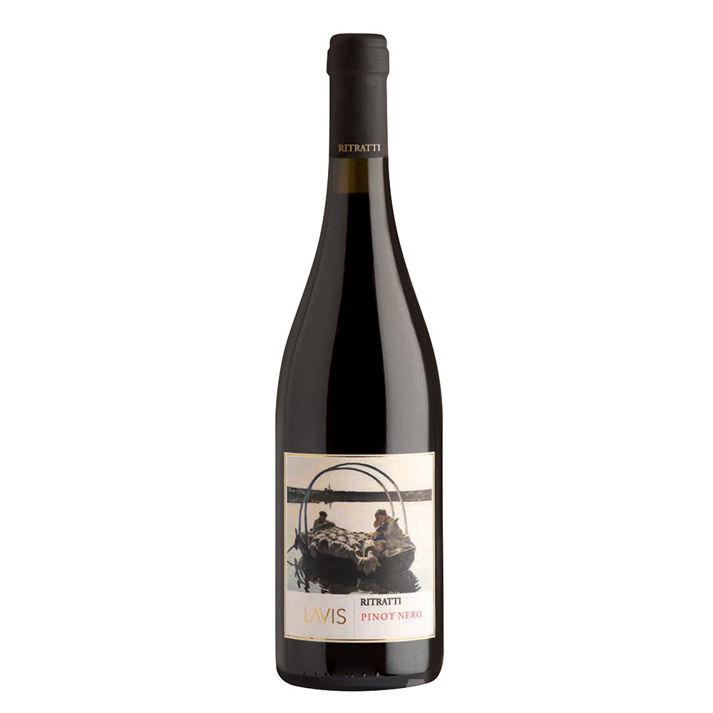 1 bottiglia - Ritratti Pinot nero Trentino DOC 2016