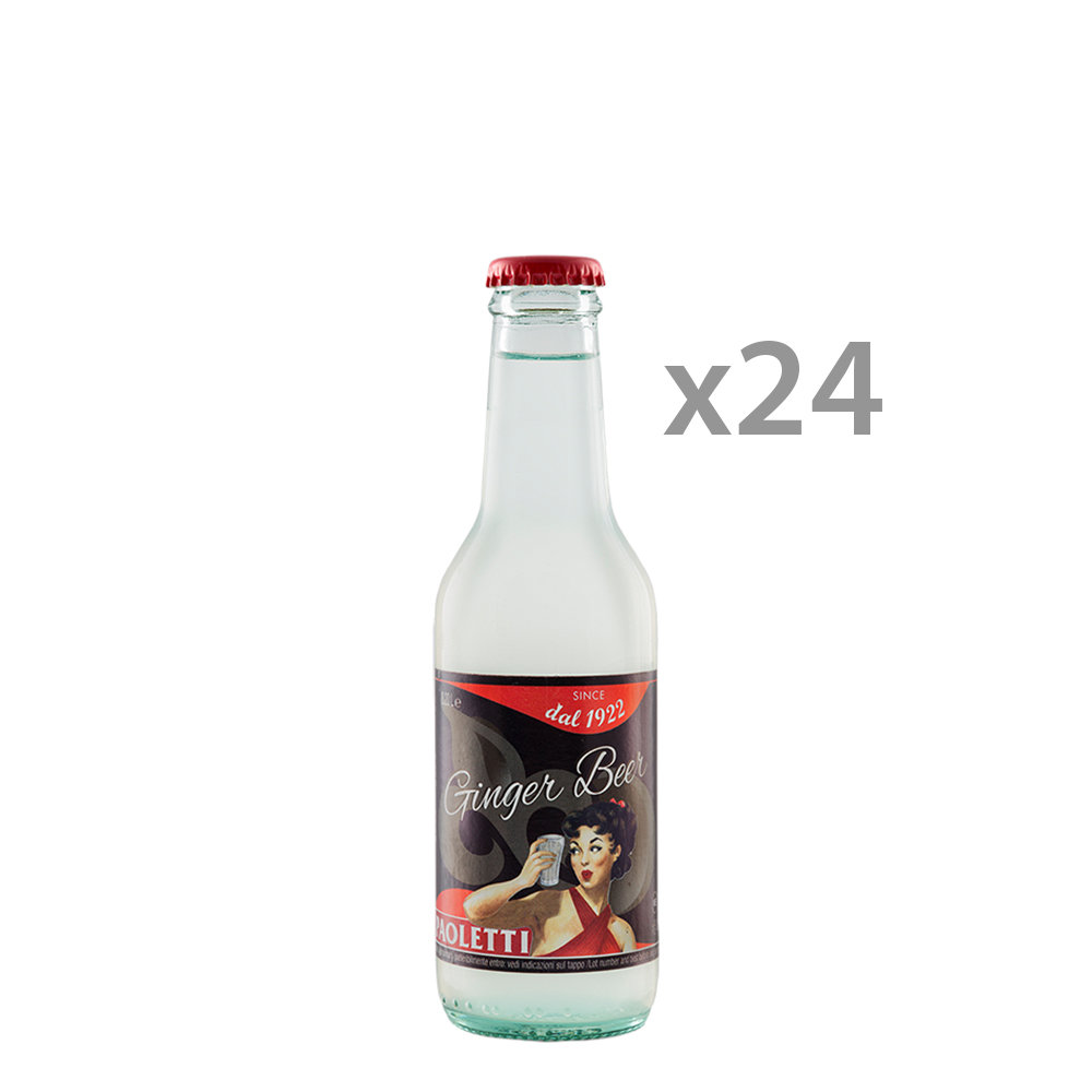 24 bottiglie - Ginger Beer 0,2 lt