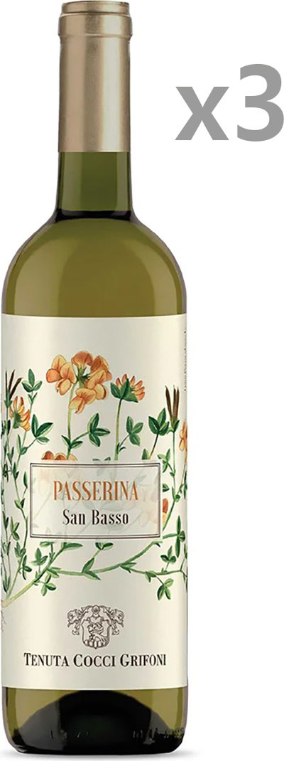 Vini bianchi 3 bottiglie - Passerina Marche IGT Tenuta San Basso 2023