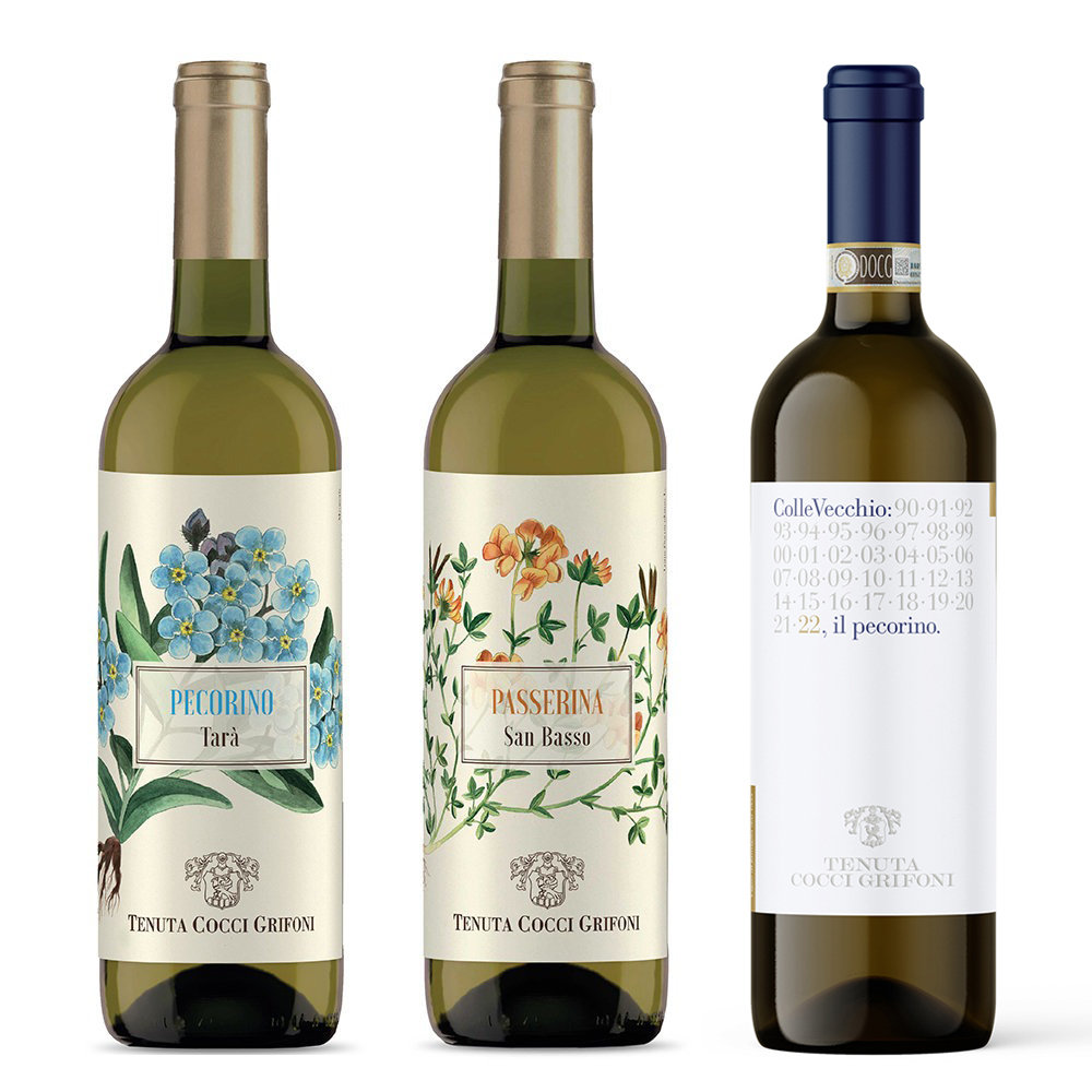 Image of 3 bottiglie miste: Falerio DOC Pecorino Tenuta Tarà 2021 - Passerina Marche IGT Tenuta San Basso 2021 - Colle Vecchio Offida DOCG Pecorino 2021