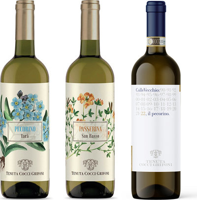 Vini bianchi 3 bottiglie miste: Falerio DOC Pecorino Tenuta Tarà 2021 - Passerina Marche IGT Tenuta San Basso 2021 - Colle Vecchio Offida DOCG Pecorino 2021
