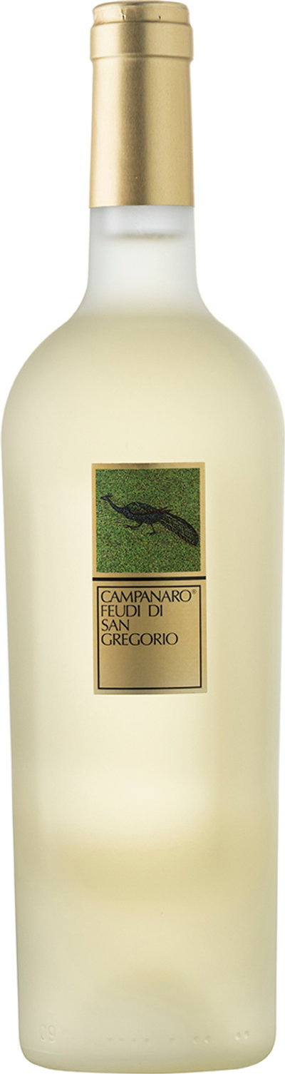 Vini bianchi 1 bottiglia - Campanaro Irpinia Bianco DOC 2018