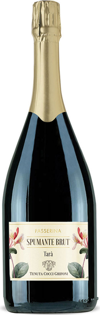Bollicine 1 bottiglia Magnum - Tarà Passerina Spumante Brut 2023