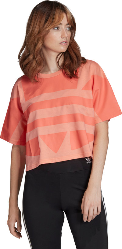 Felpe Crop top in cotone con logo arancione