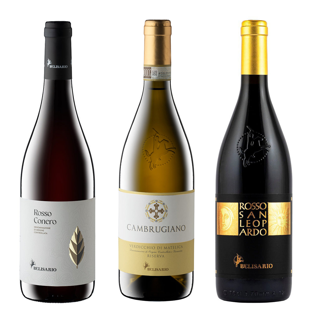 Image of 3 bottiglie miste: Rosso Conero DOC 2020 - Cambrugiano Verdicchio di Matelica DOCG Riserva 2020 - San Leopardo Rosso Riserva DOC 2020