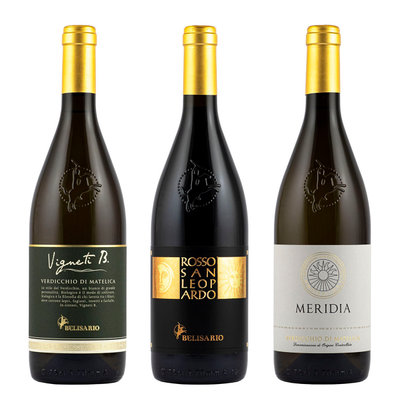 3 bottiglie miste: Vigneti B Verdicchio di Matelica DOC 2021 - San Leopardo Rosso Riserva DOC 2020 - Meridia Verdicchio di Matelica DOC 2021