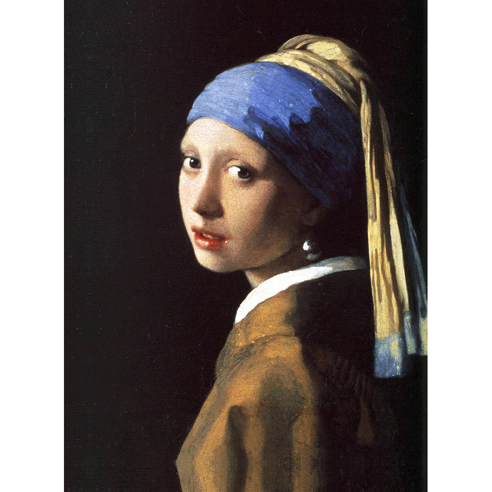 Vermeer La Ragazza Con L'orecchino Di Perla