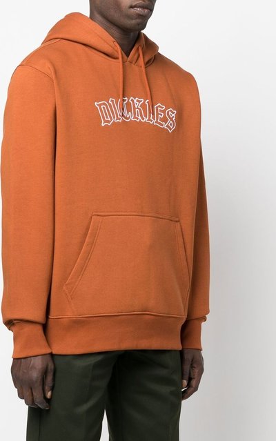 Maglie Felpa con cappuccio Union Springs