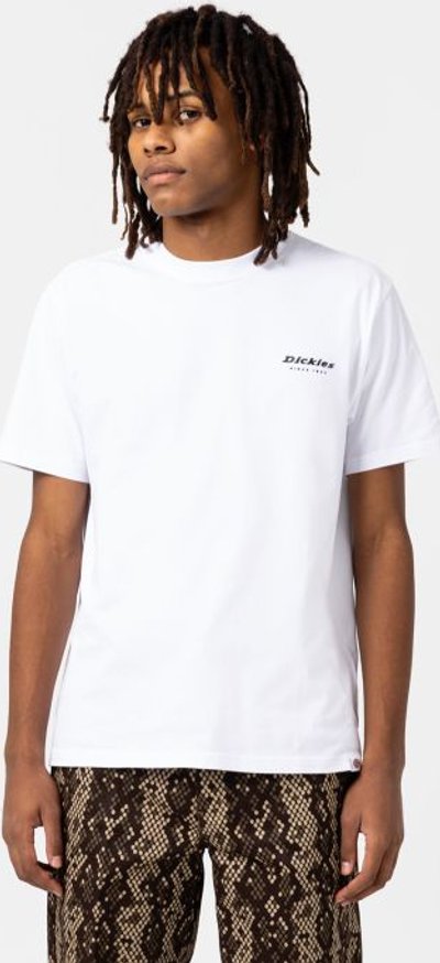 T-shirt Maglietta Camden Box ss